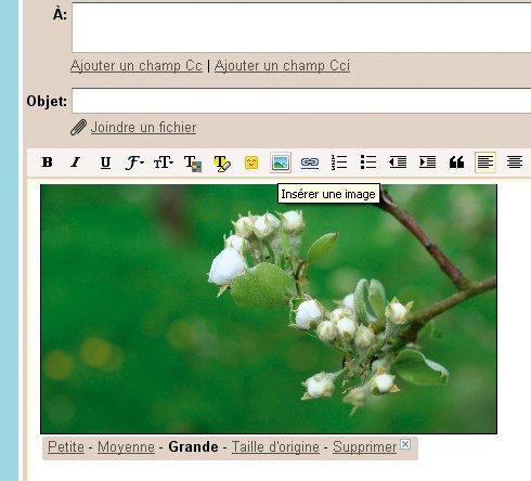 Insertion d'image