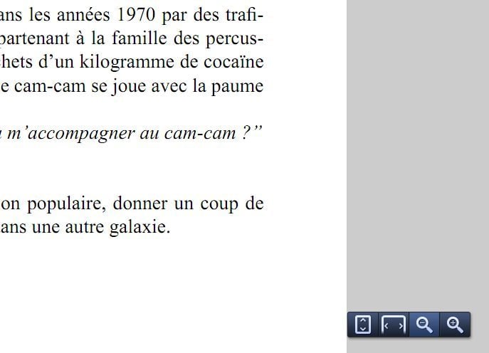 Un menu permet de régler le niveau de zoom du document PDF.