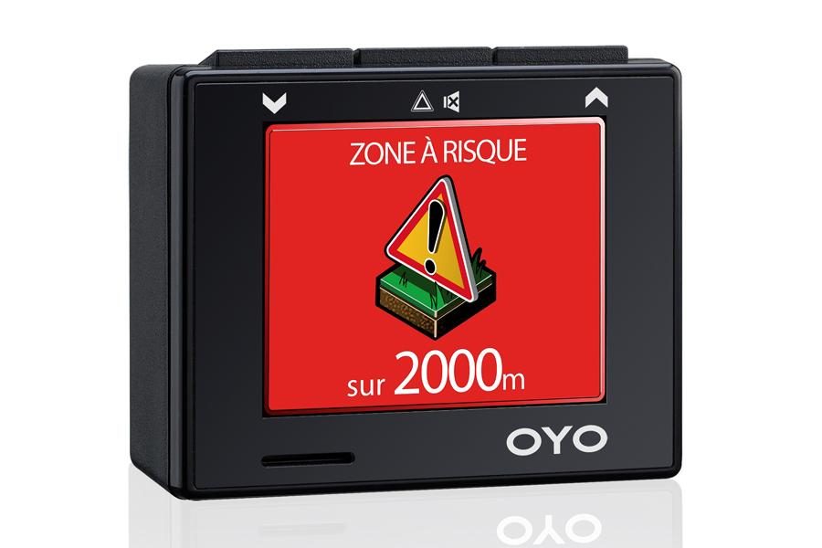 Coyote Oyo