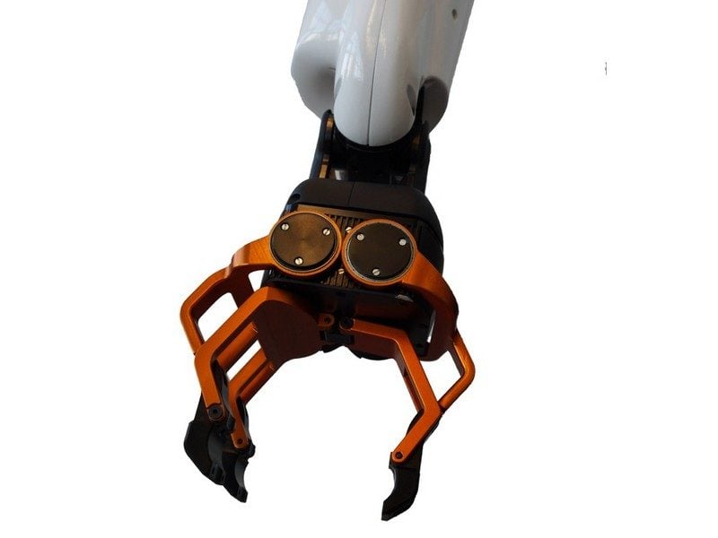 Une des mains de Pyrene.