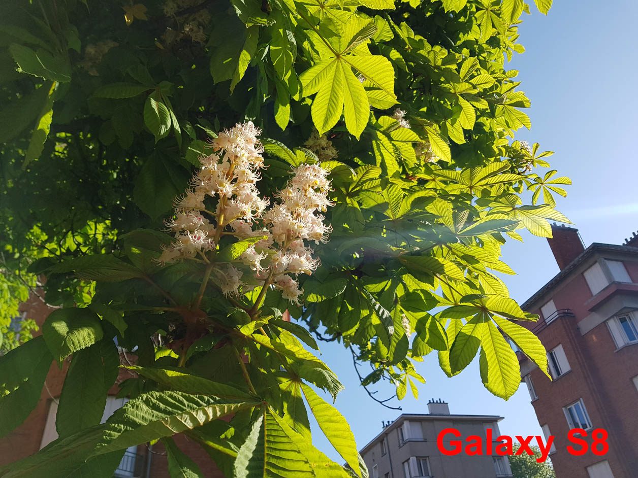 Photo prise avec le Galaxy S8