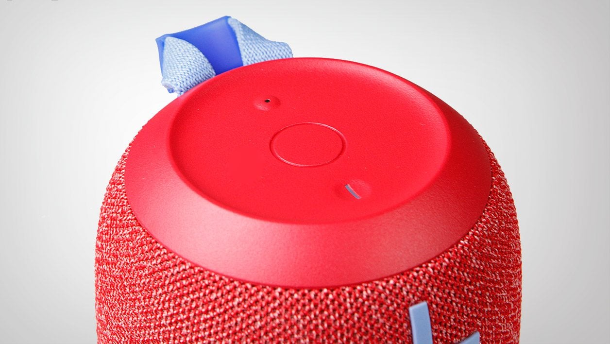 Wonderboom 2