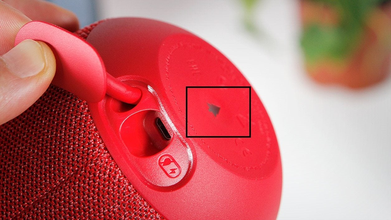 Wonderboom 2