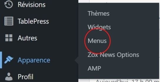 Réglages menus avec WordPress