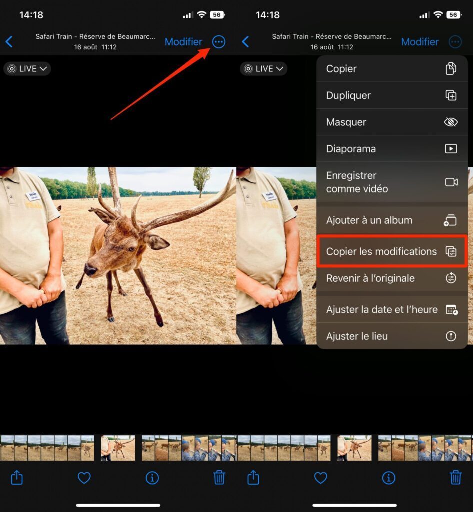 iOS 16 : comment copier-coller vos retouches photo