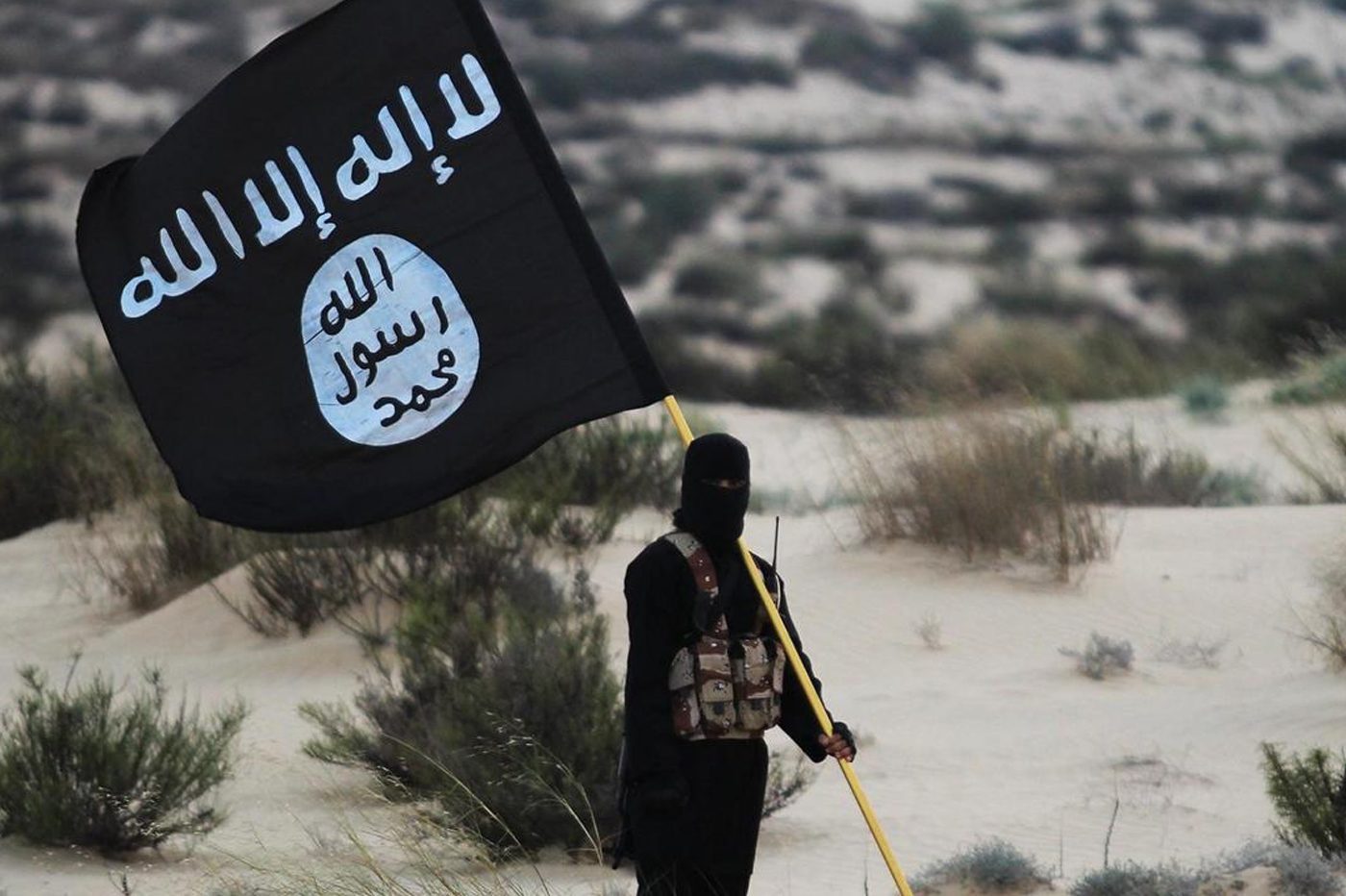 nft daesh