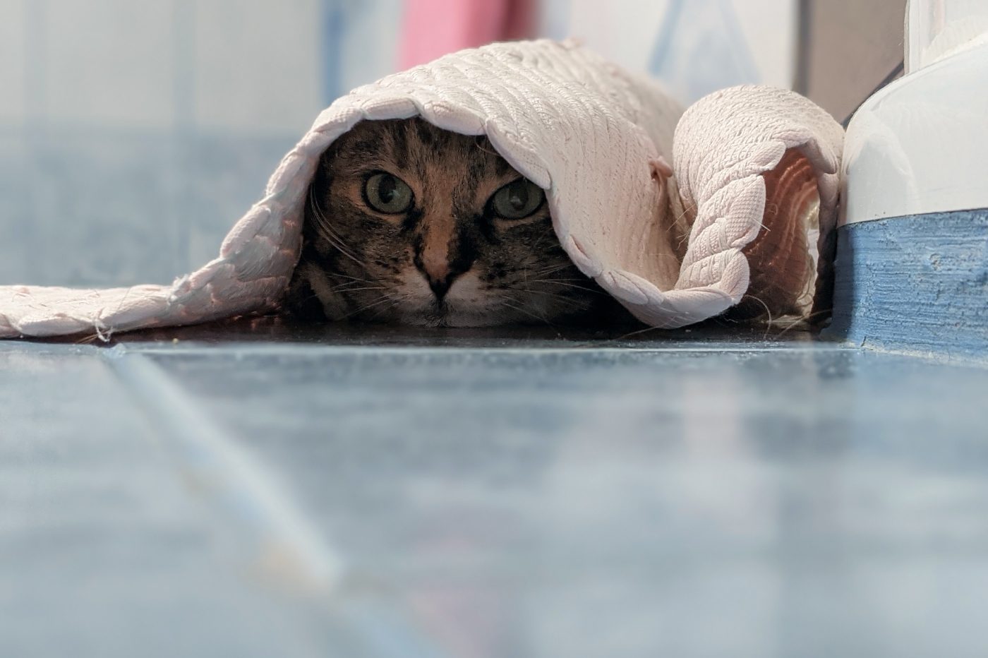 espionnage