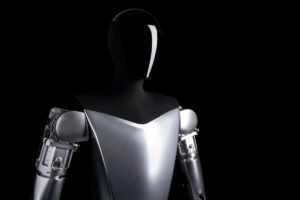 tesla bot