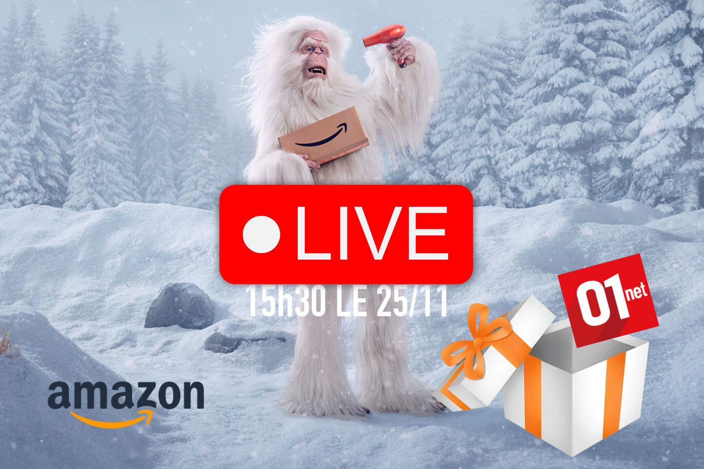 Direct 01net Amazon