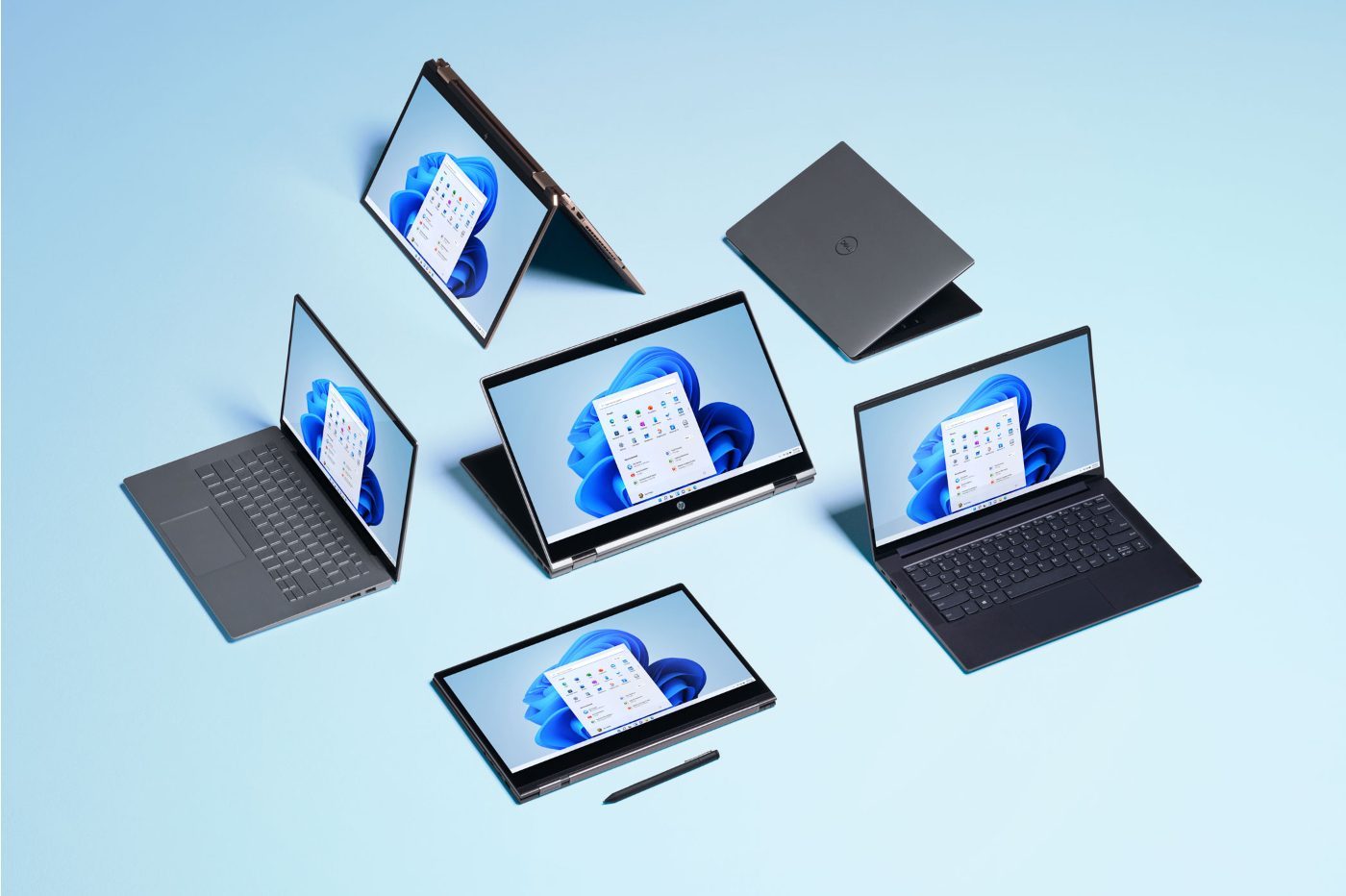 Windows 11