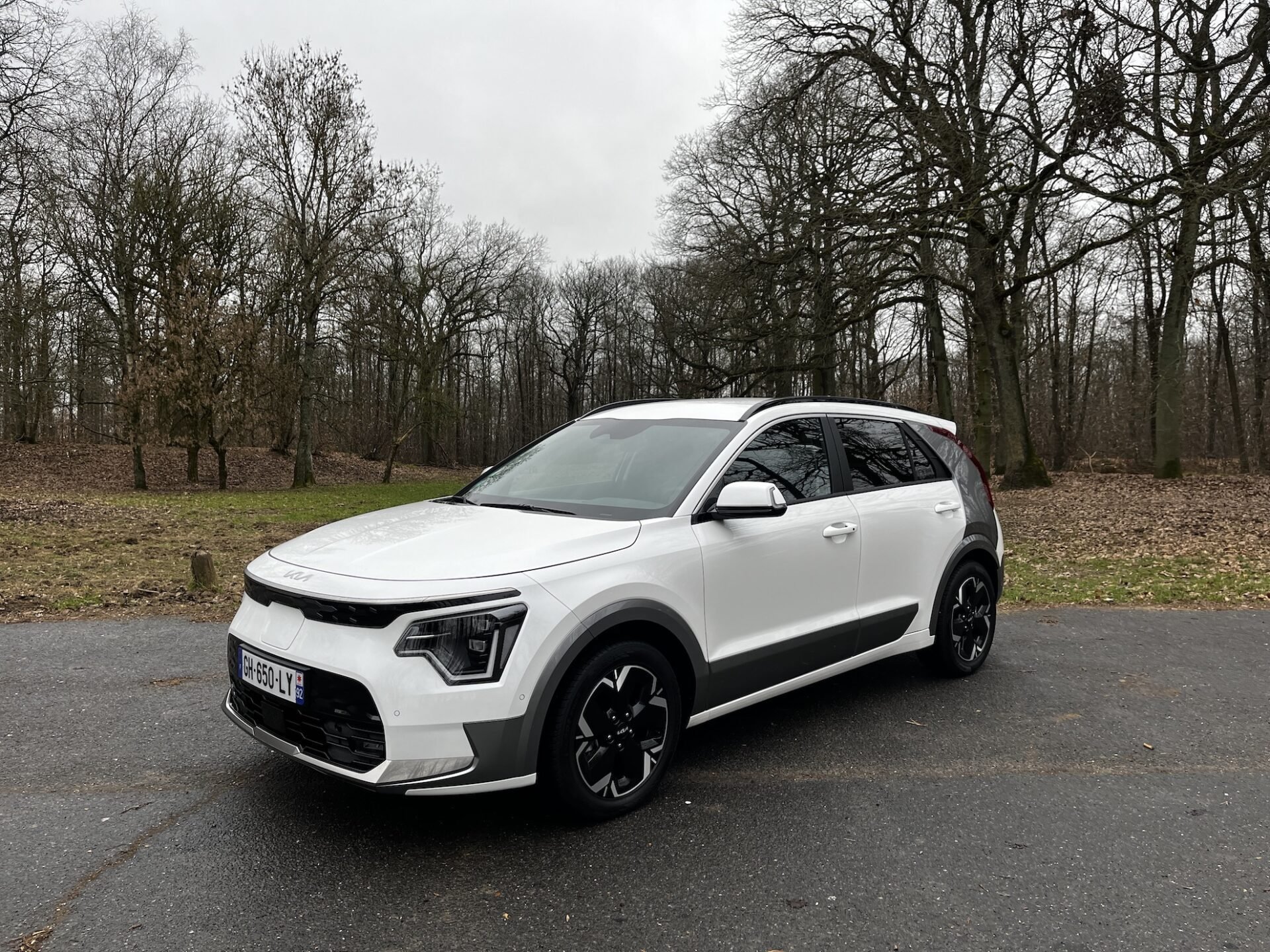 Kia Niro EV