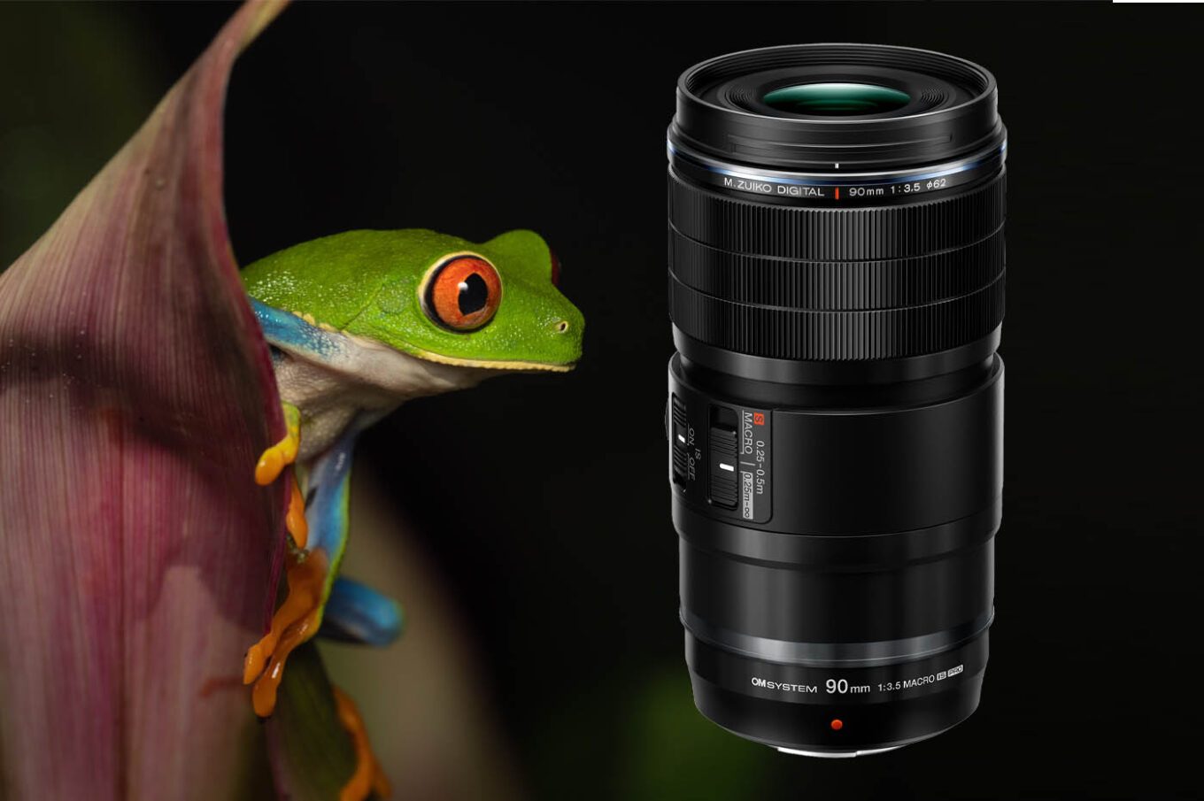 lympus Macro 90 mm