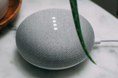 Google Assistant LLM