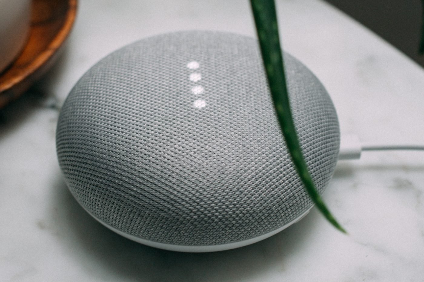 Google Assistant LLM