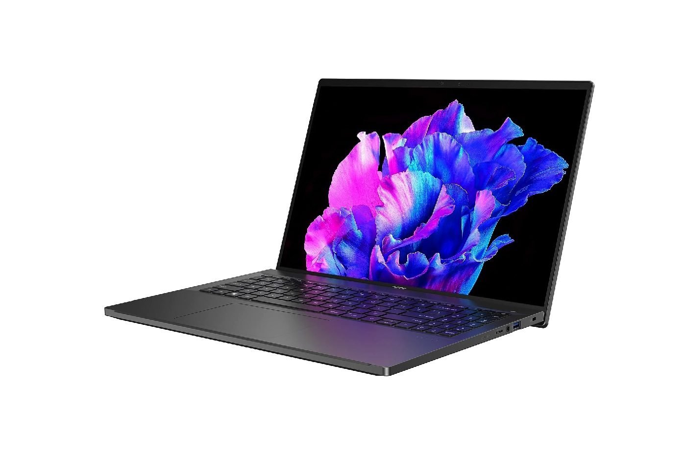 Acer Swift Go