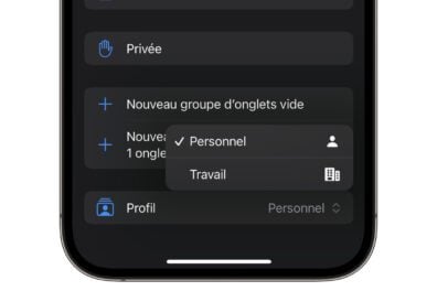 Ios 17 Profil Safari