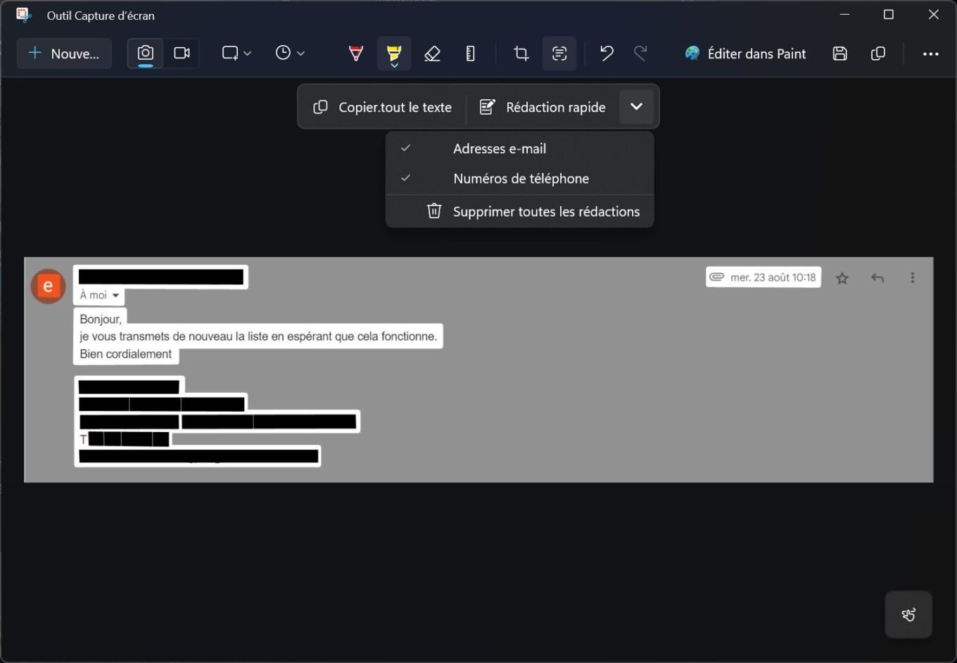 Outil Capture D'écran Floutage