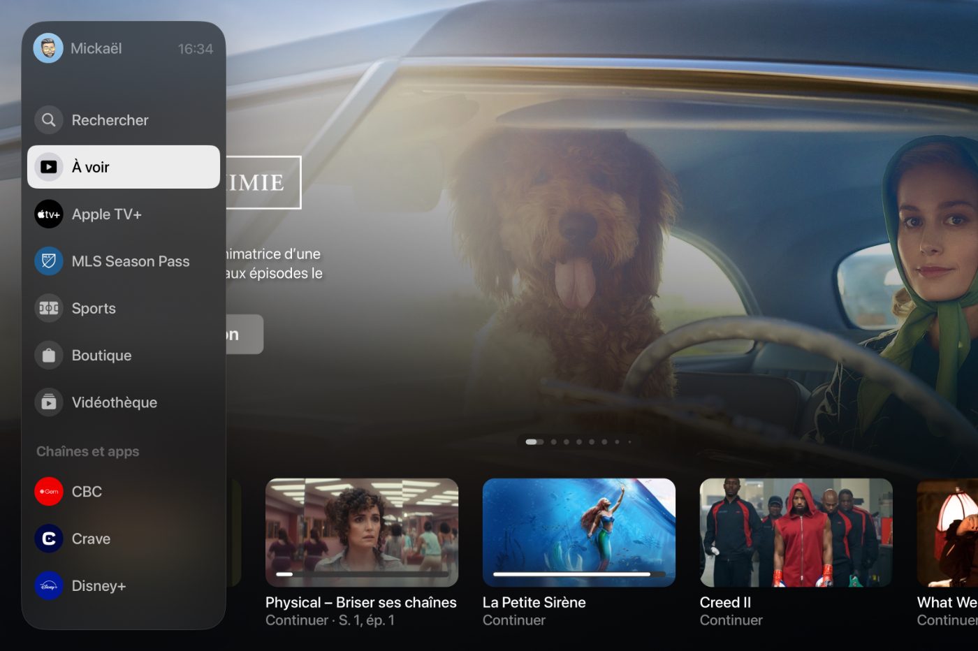 App Tv Interface
