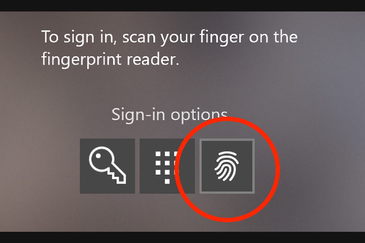 Windows Hello