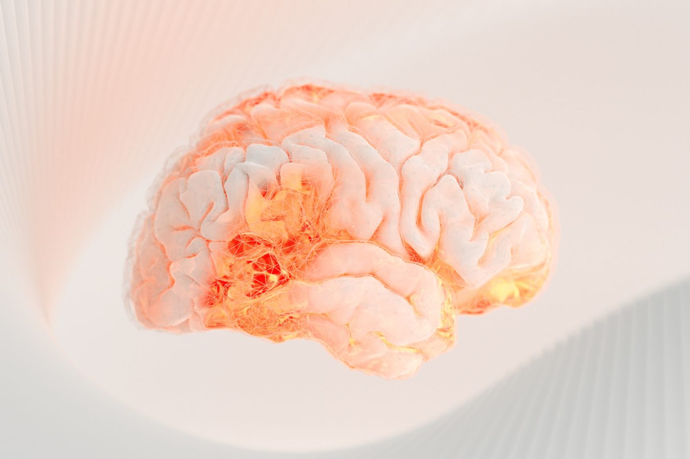 Cerveau Ia