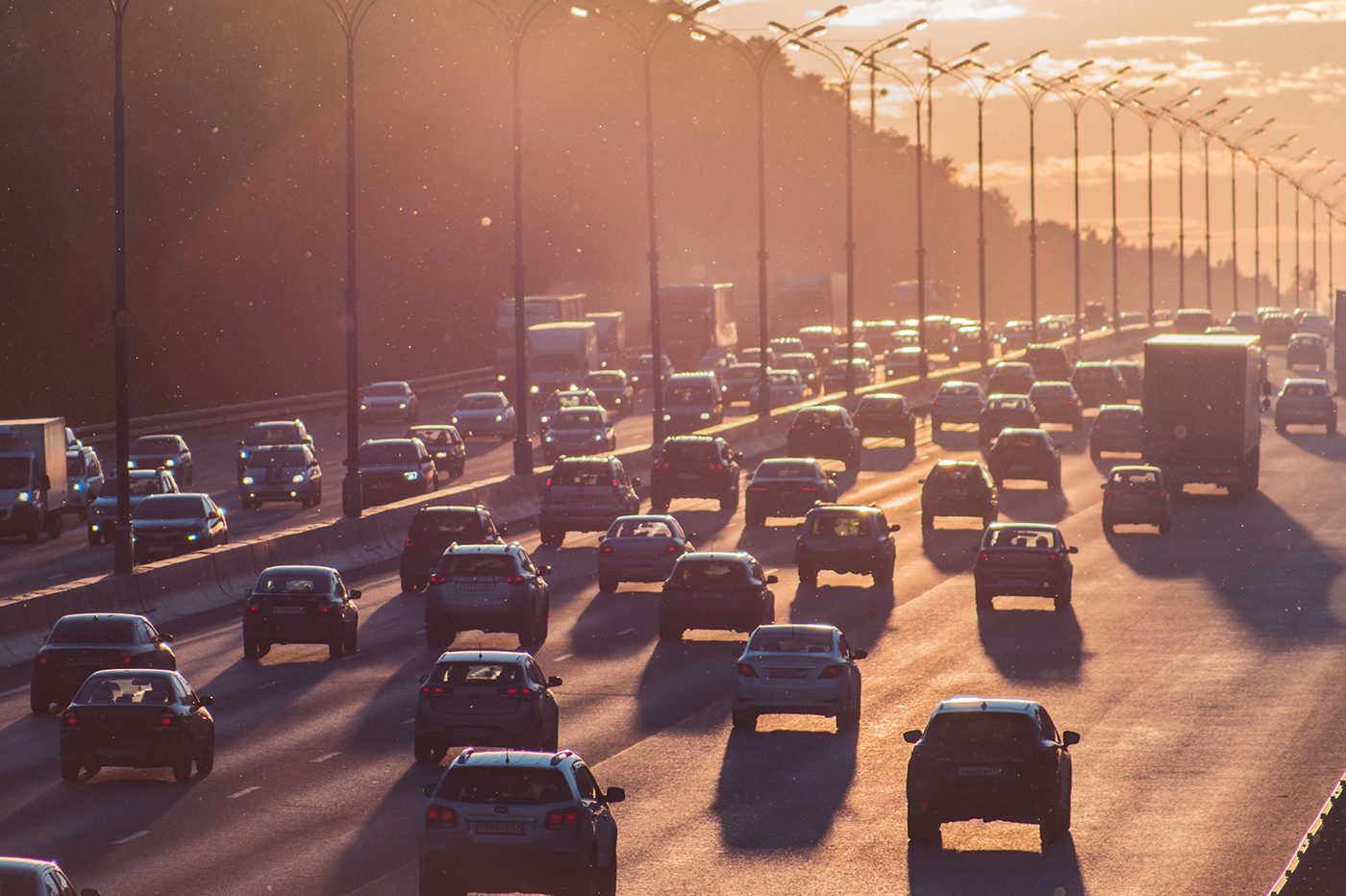 Données Automobilistes Volées