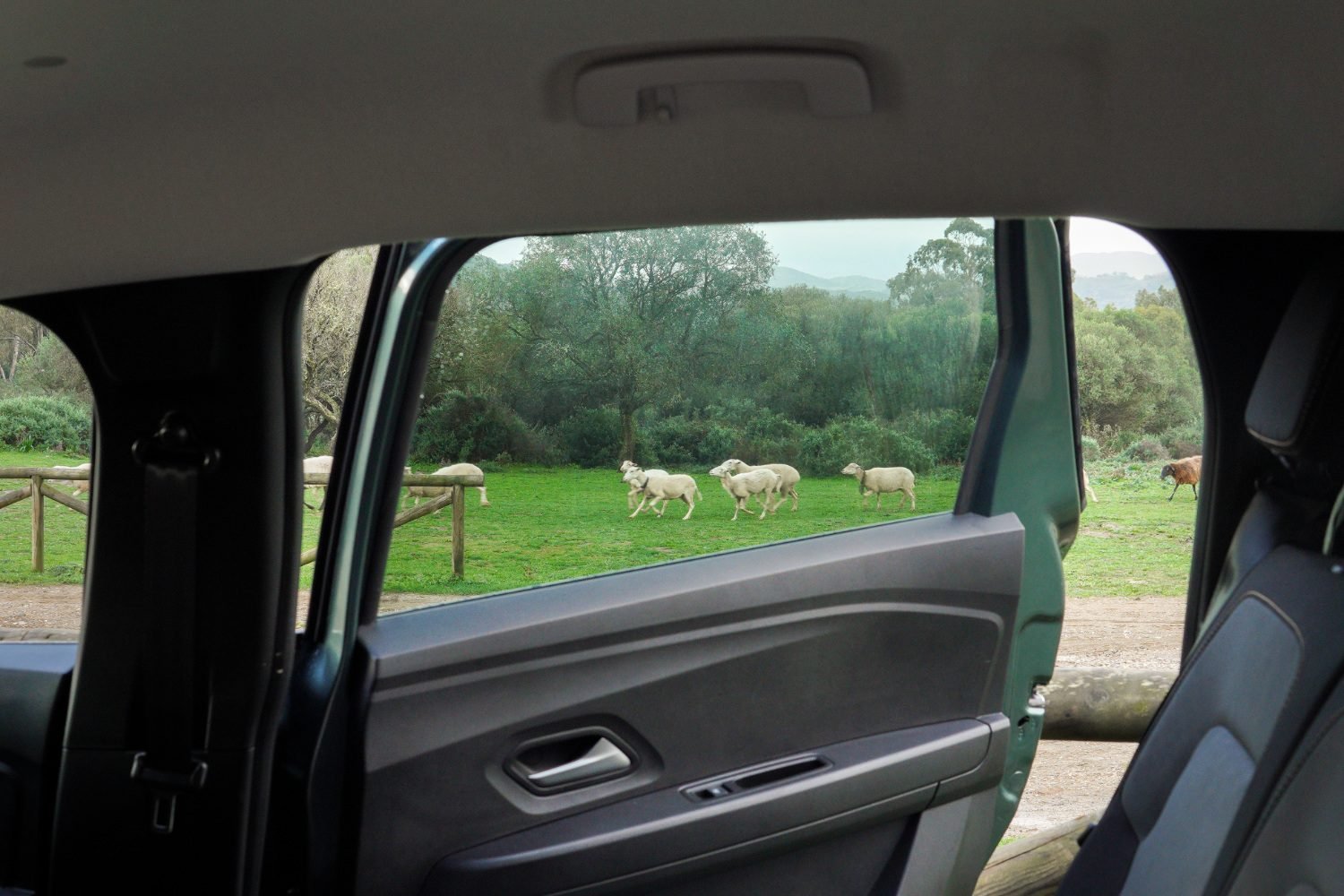 Dacia Jogger Test Pack Sleep 026