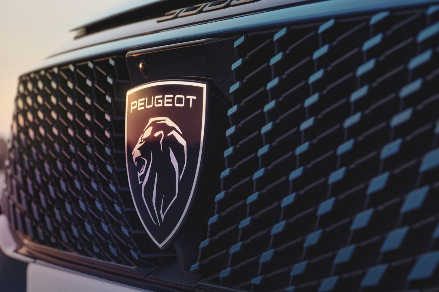 Peugeot E 3008 Electrique Calandre Logo