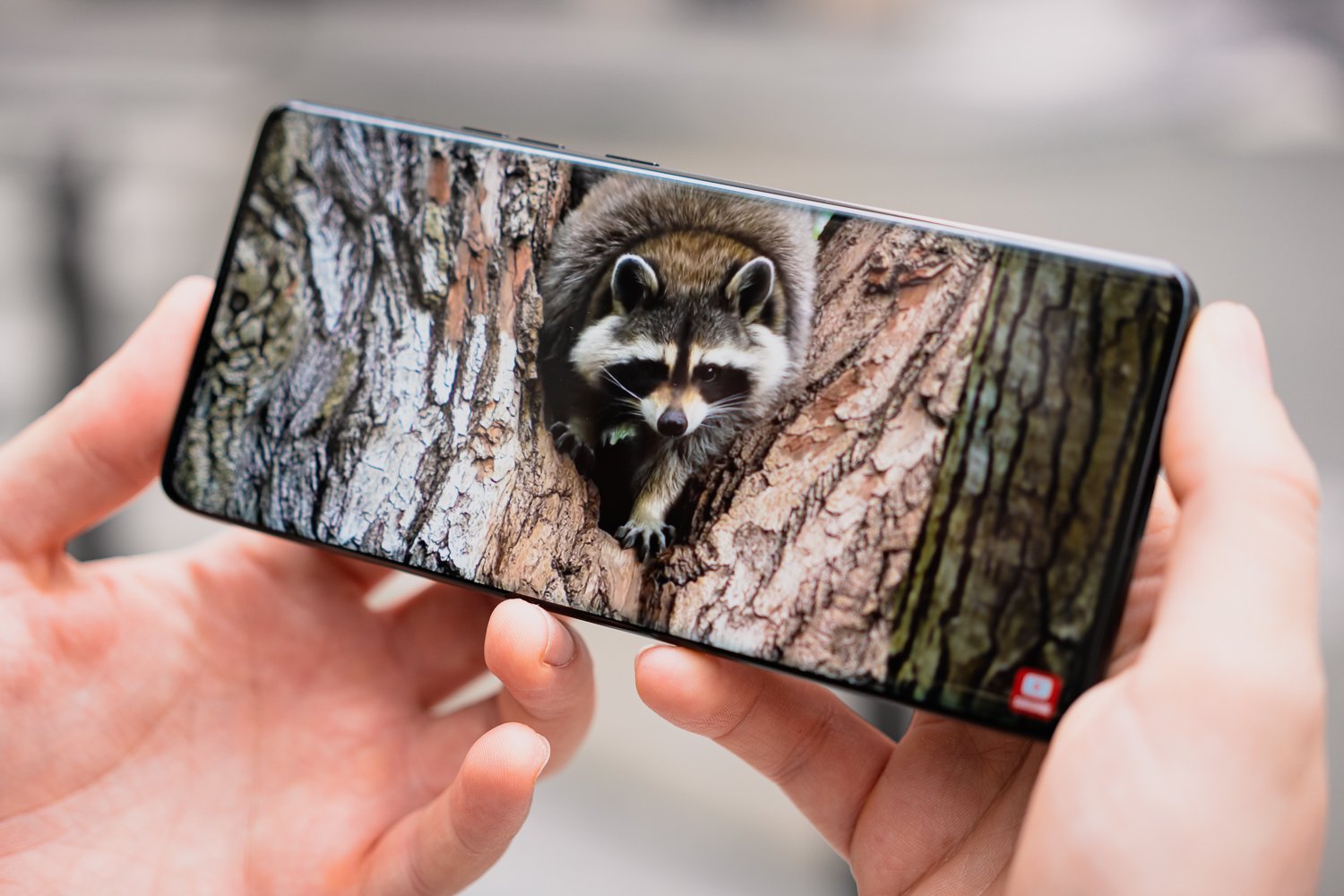 Motorola Edge 50 Pro Test (8)