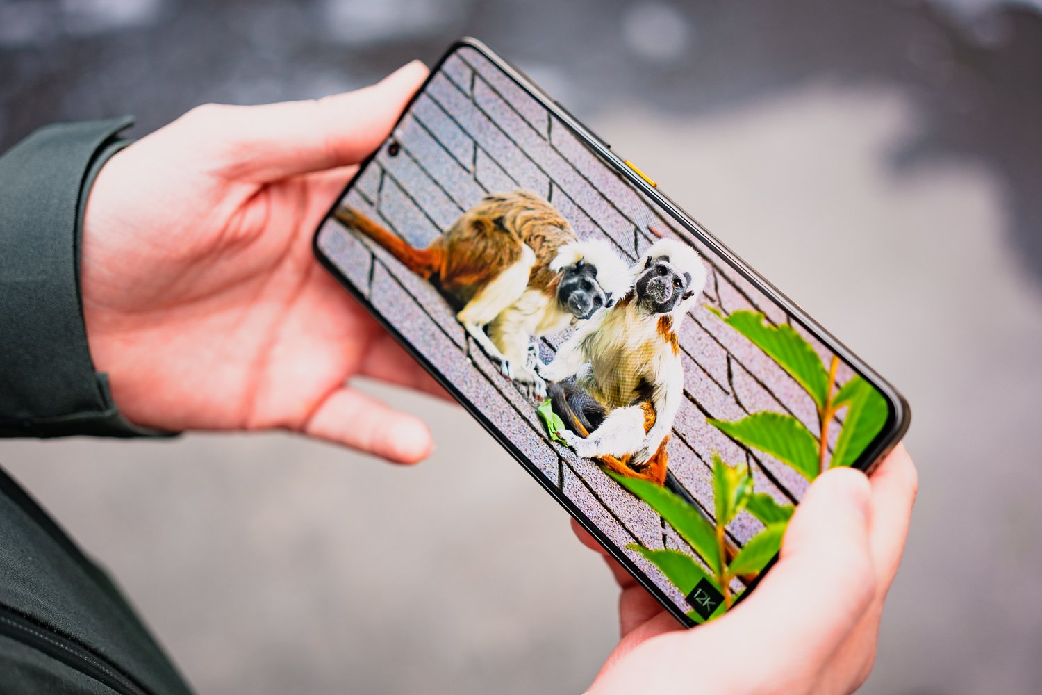 Poco X7 Pro test écran vidéo