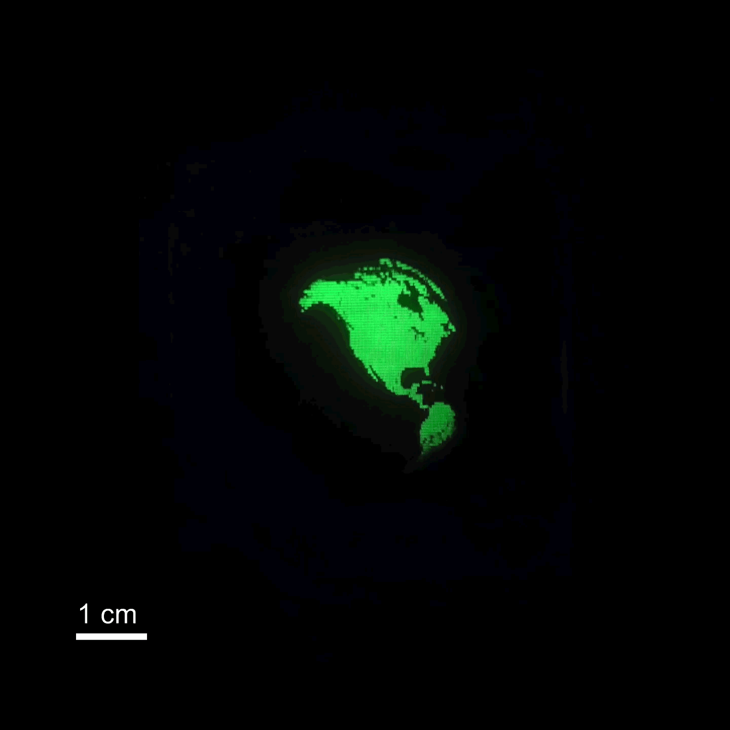 Ecran Microscopique