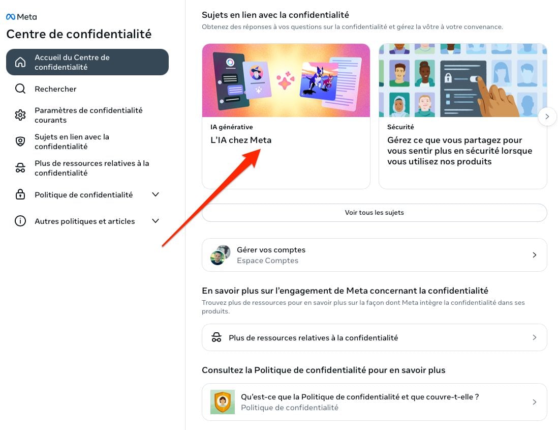 Meta Ai Empêcher Meta De Collecter Vos Données Publiques Pour Entrainer Son Ia 5
