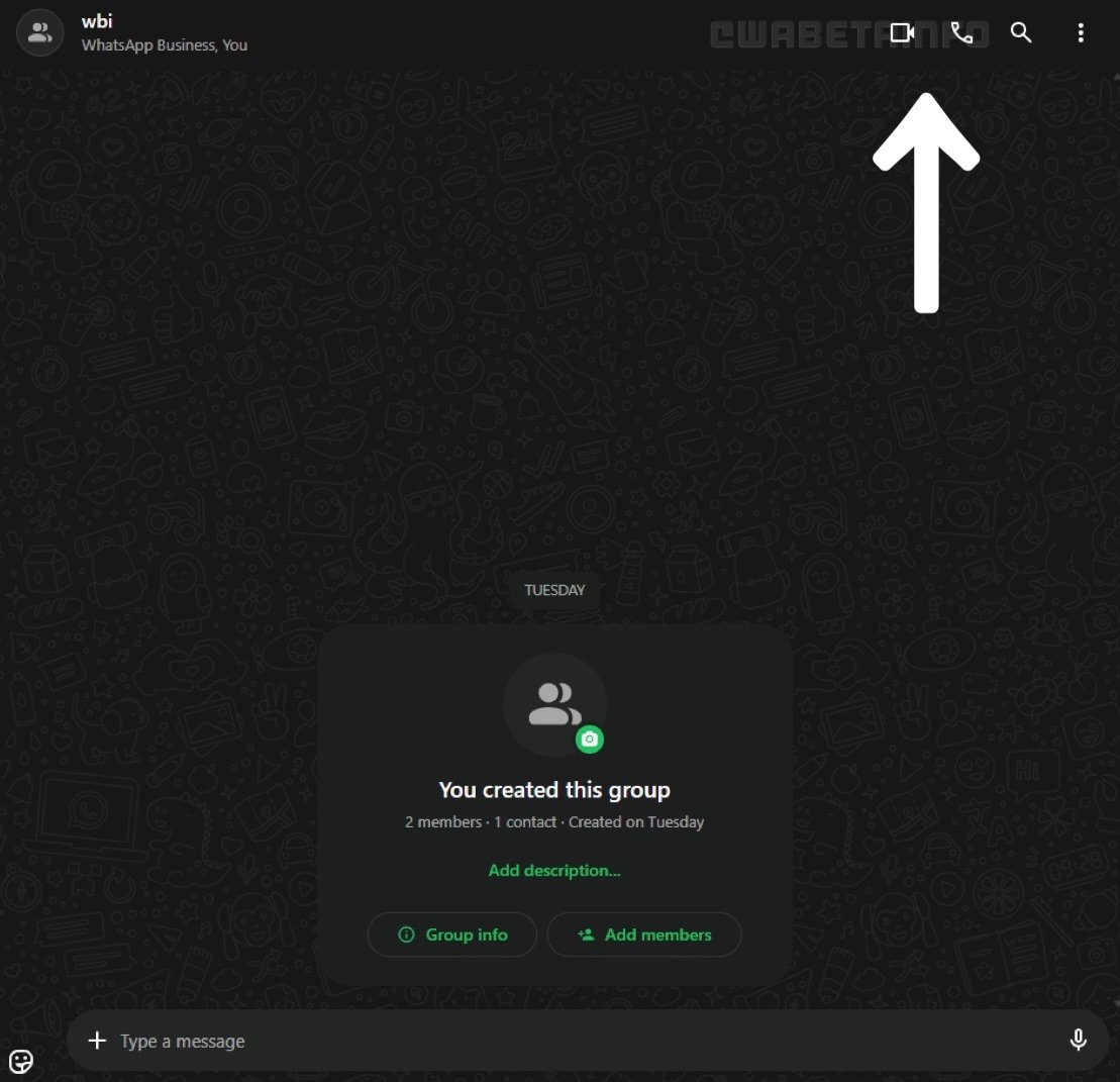 Whatsapp Web Appels Audio Video