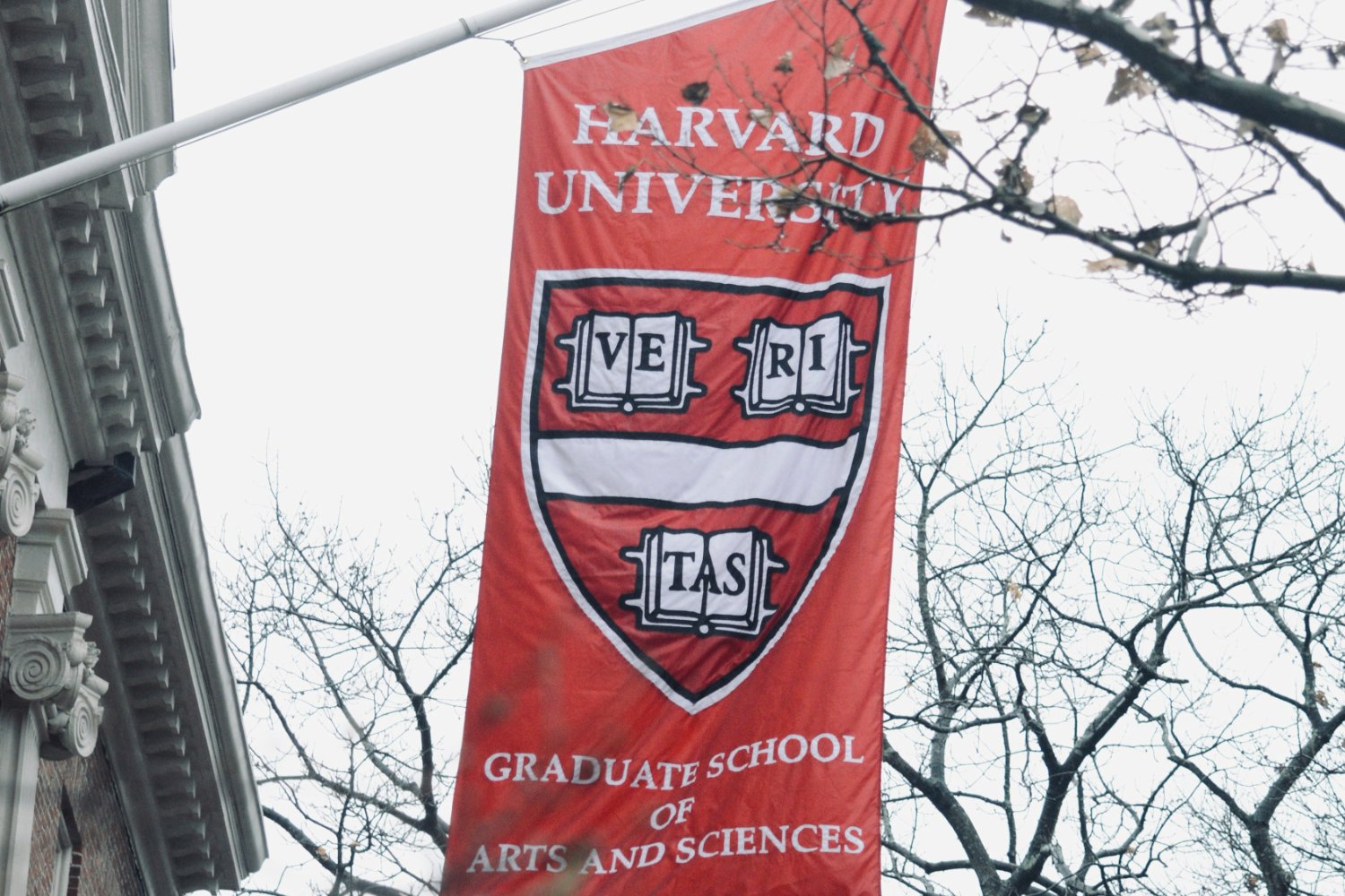 Harvard Universite 2025