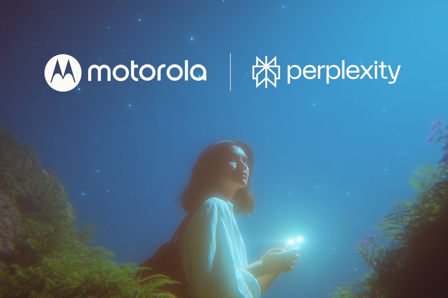 Perplexity Motorola