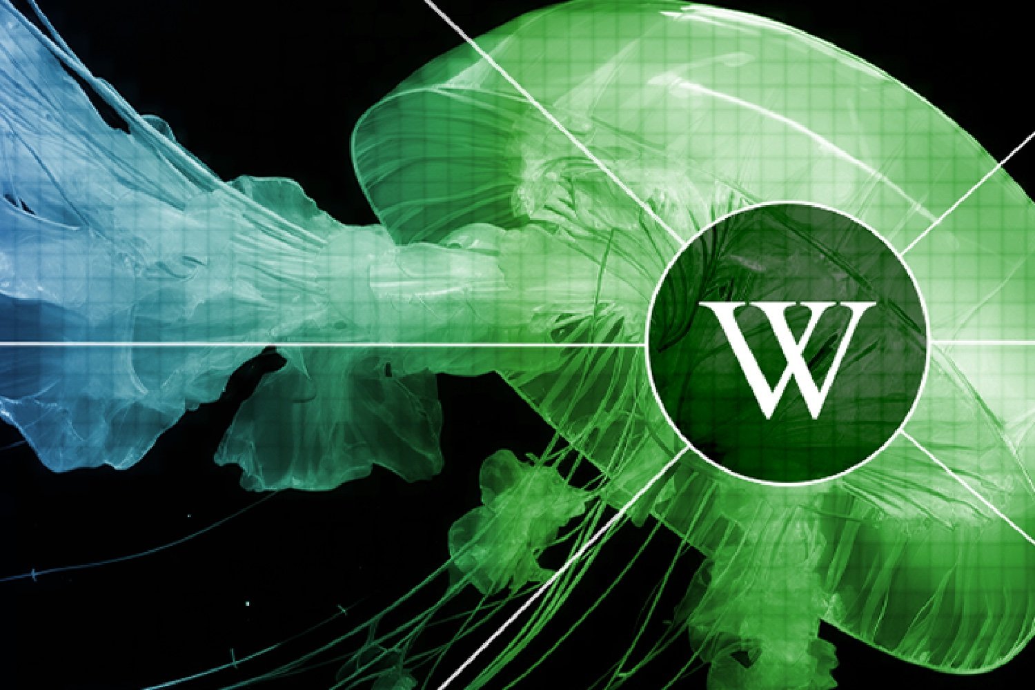 Wikipedia Ia Wikimedia