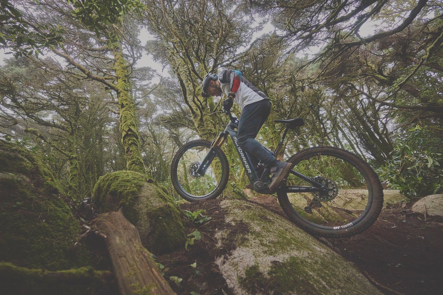 Bosch Performance Line Cx R Moteur Vtt 2