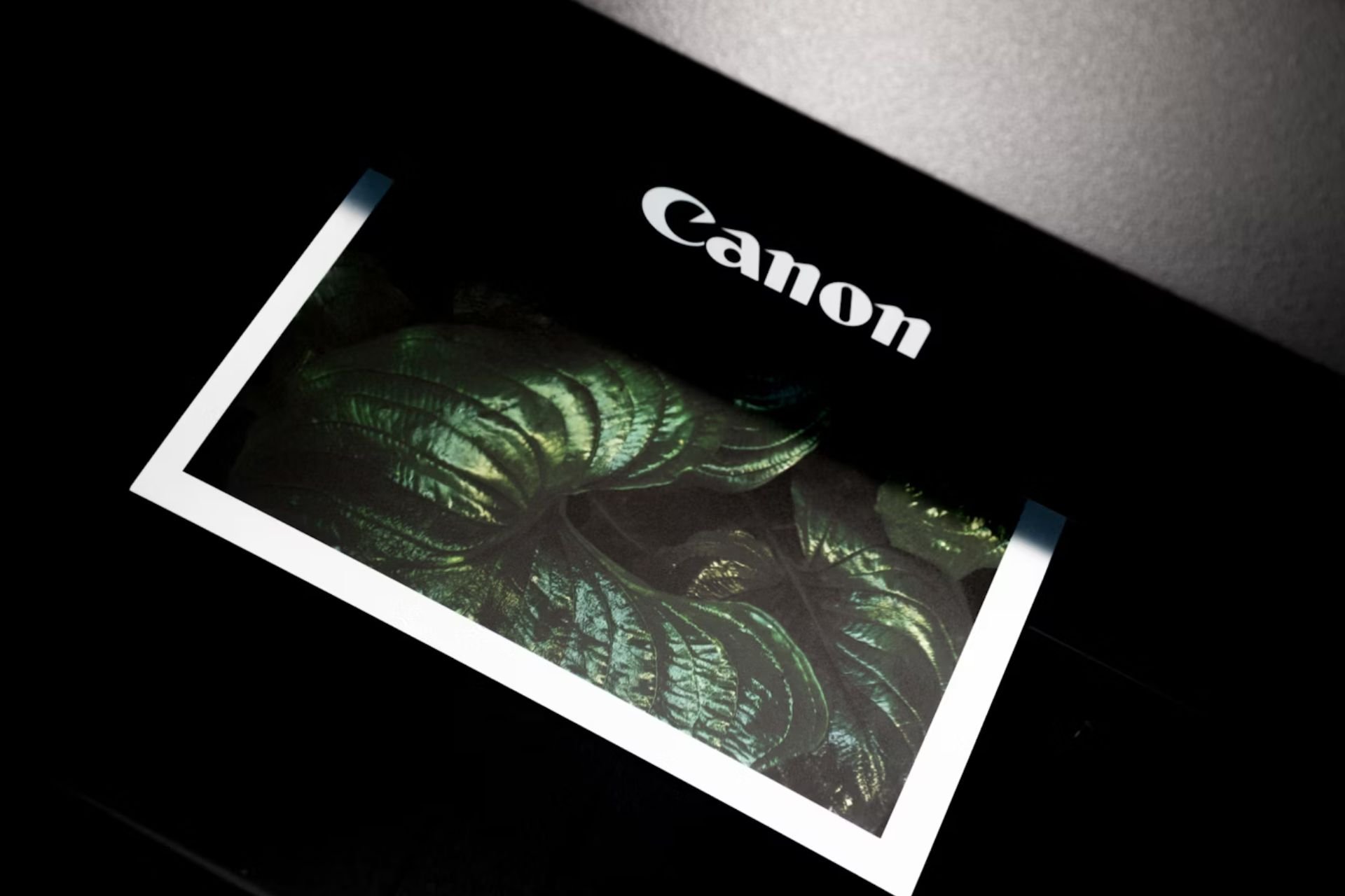 Canon Imprimante Faille