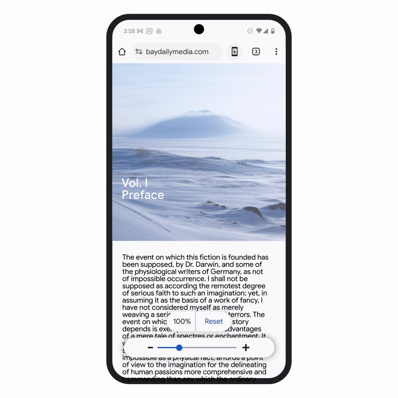 Google Chrome Zoom Page