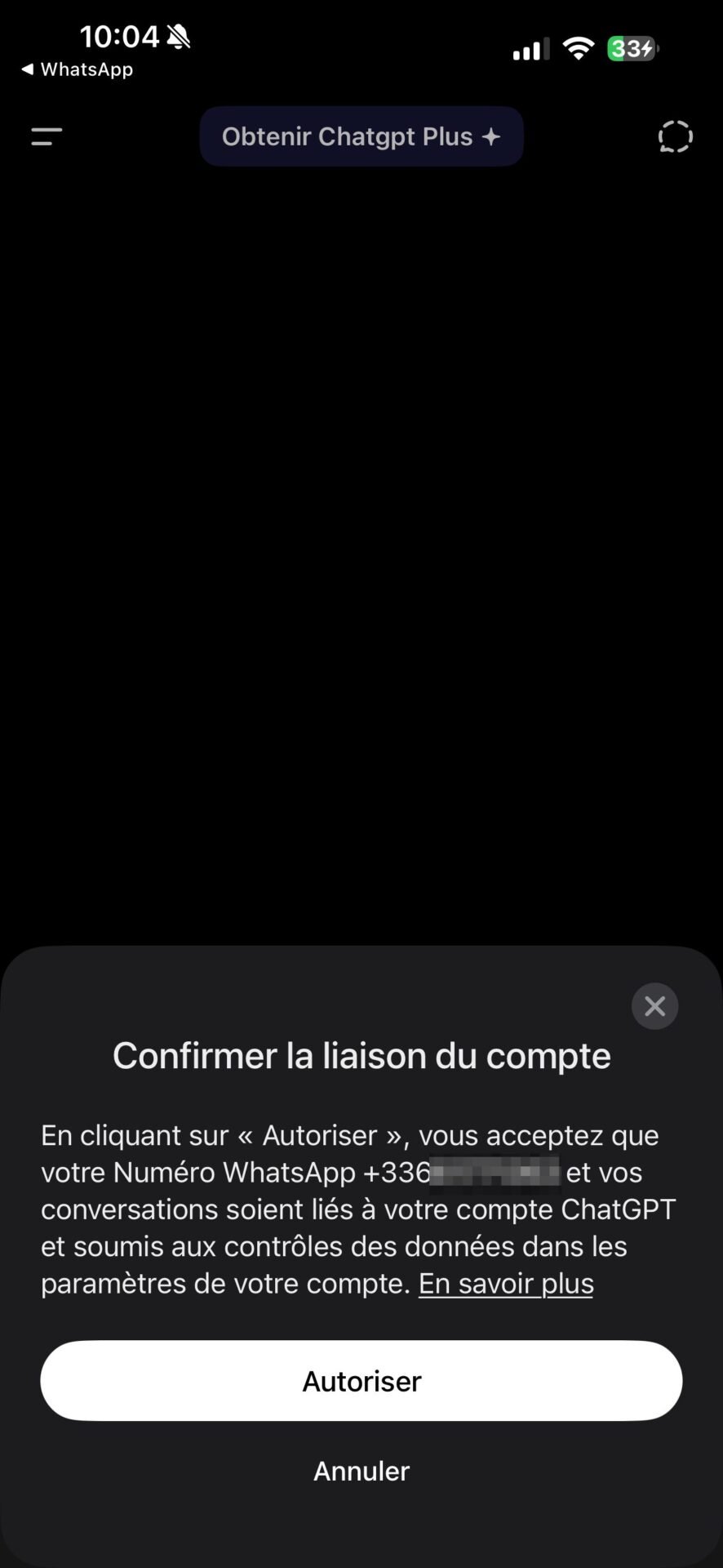 Comment Utiliser Chatgpt Et Son Générateur D Images Dans Whatsapp 2