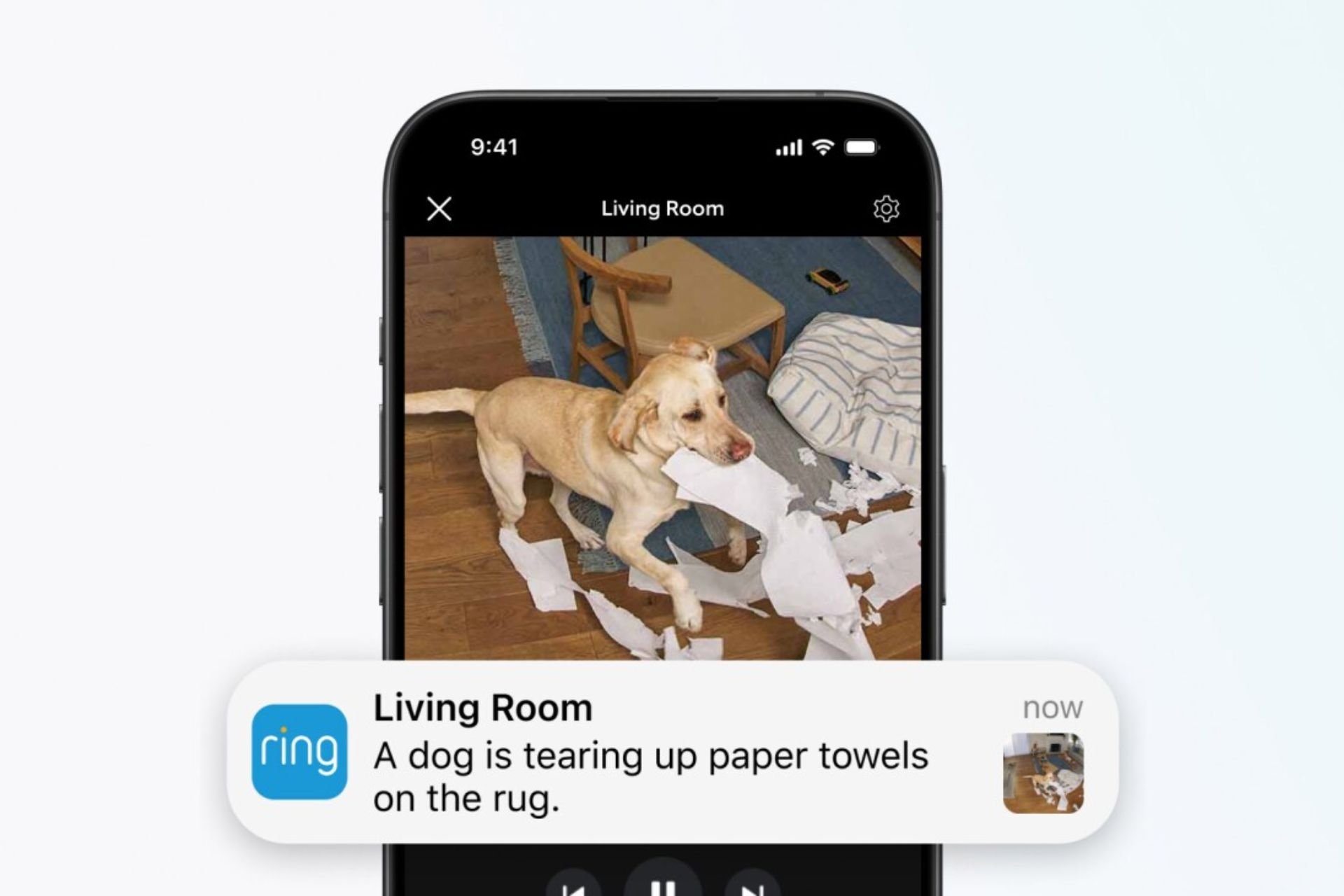 Amazon Ring Ia