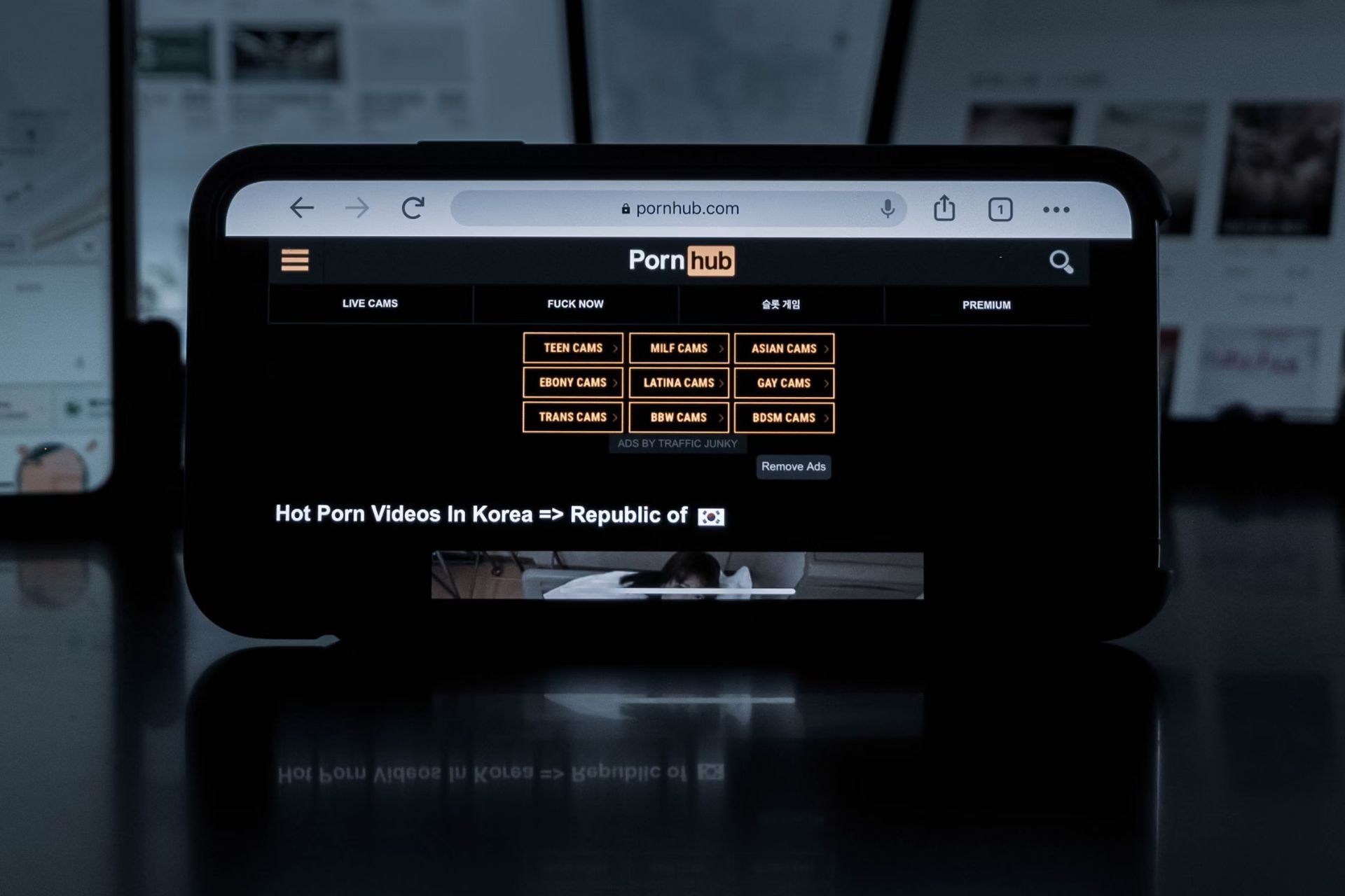 Pornhub Blocage