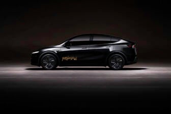 Tesla Robotaxi Model Y 2025