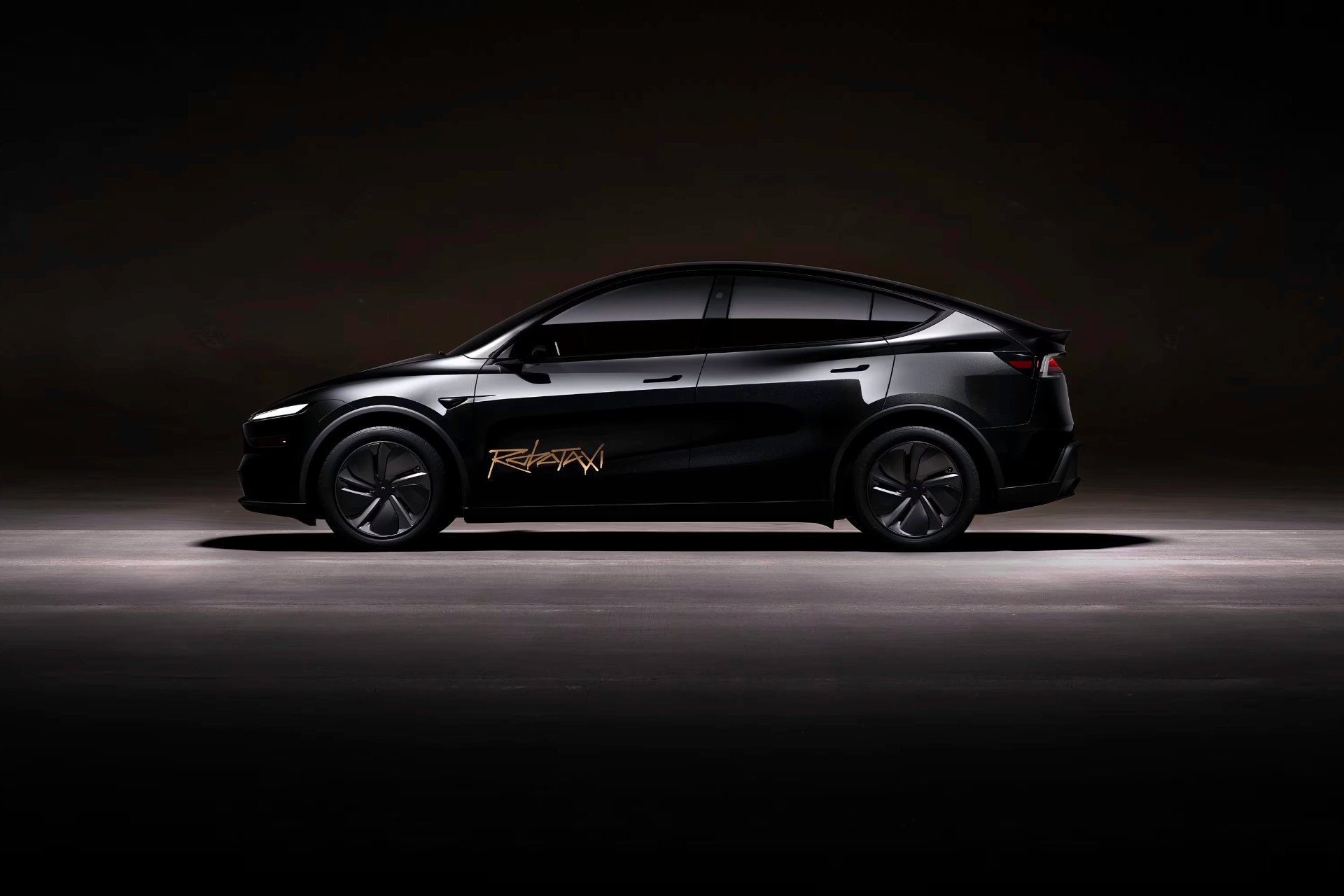 Tesla Robotaxi Model Y 2025