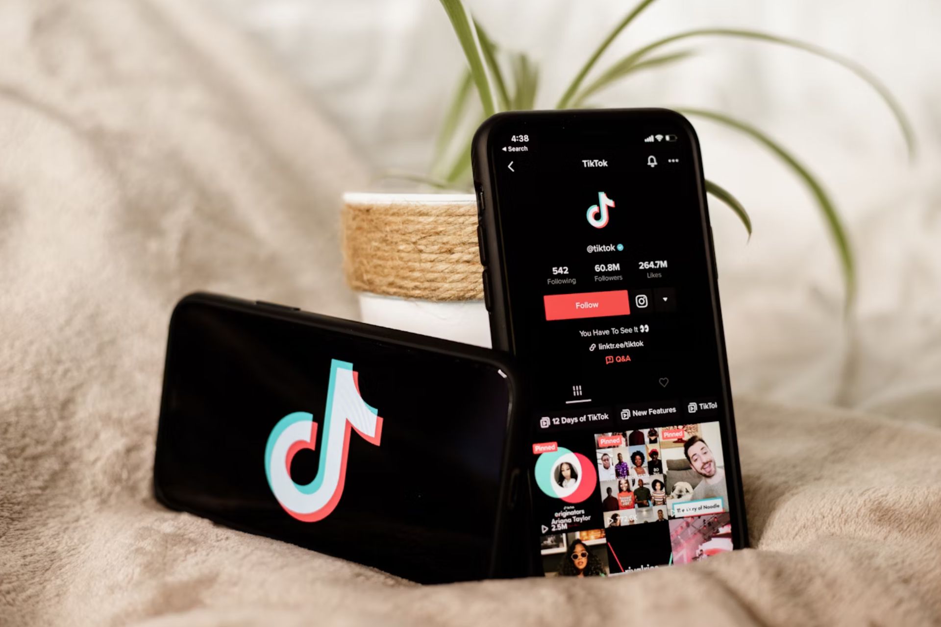Tiktok Skinnytok