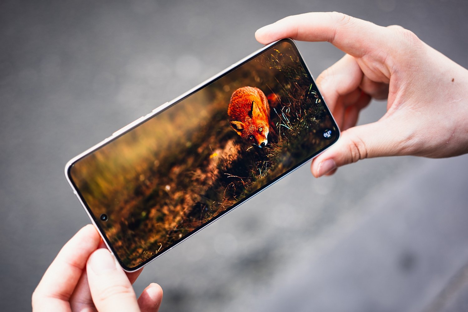 Poco F7 Pro (1)