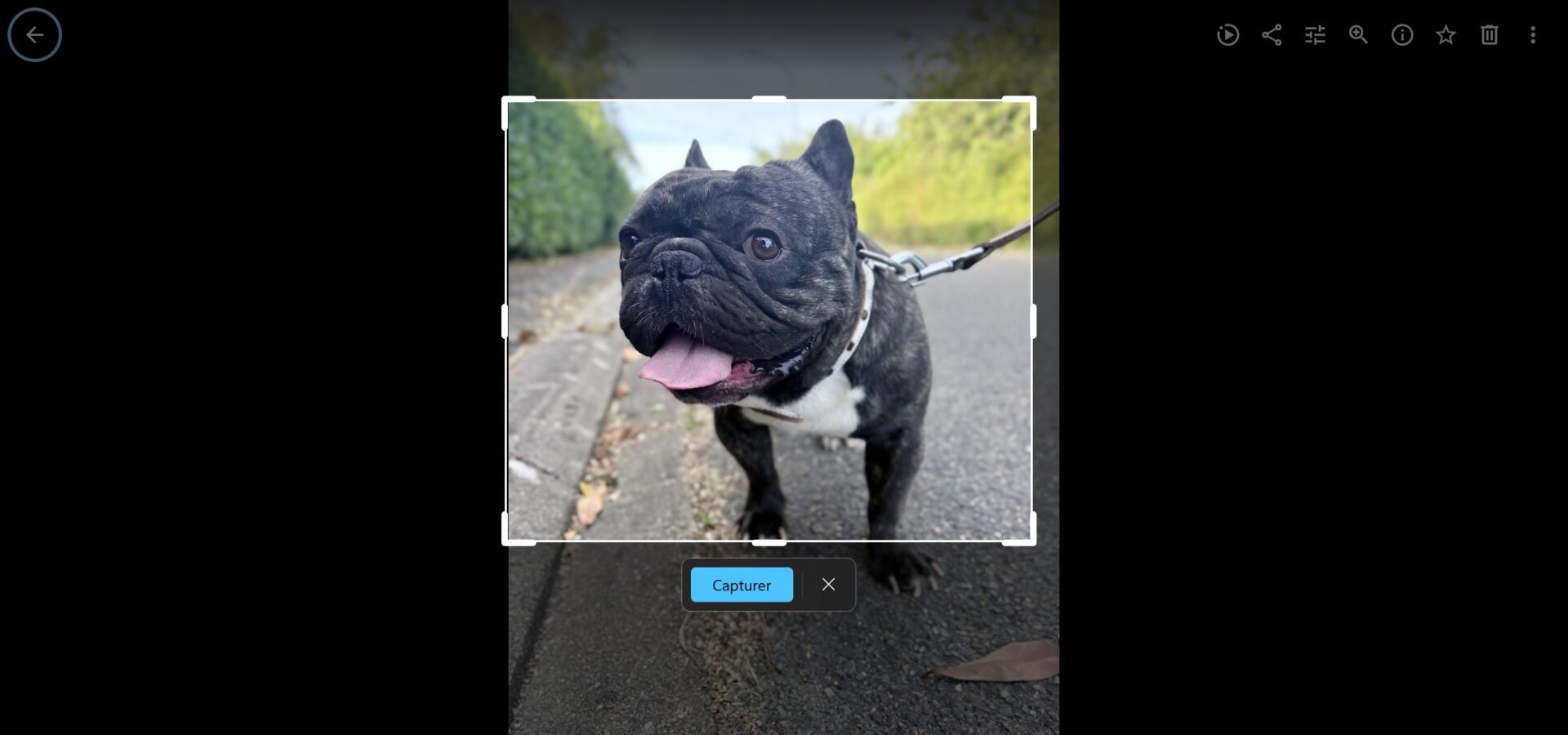 Windows 11 Outil Capture D'écran Parfaite 2