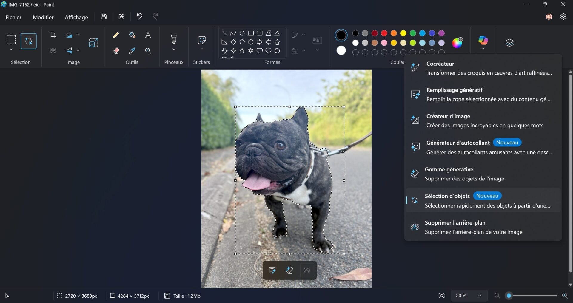 Windows 11 Paint Sélection D'objets