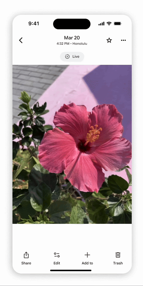 Google Photos iOS Badges Interactifs