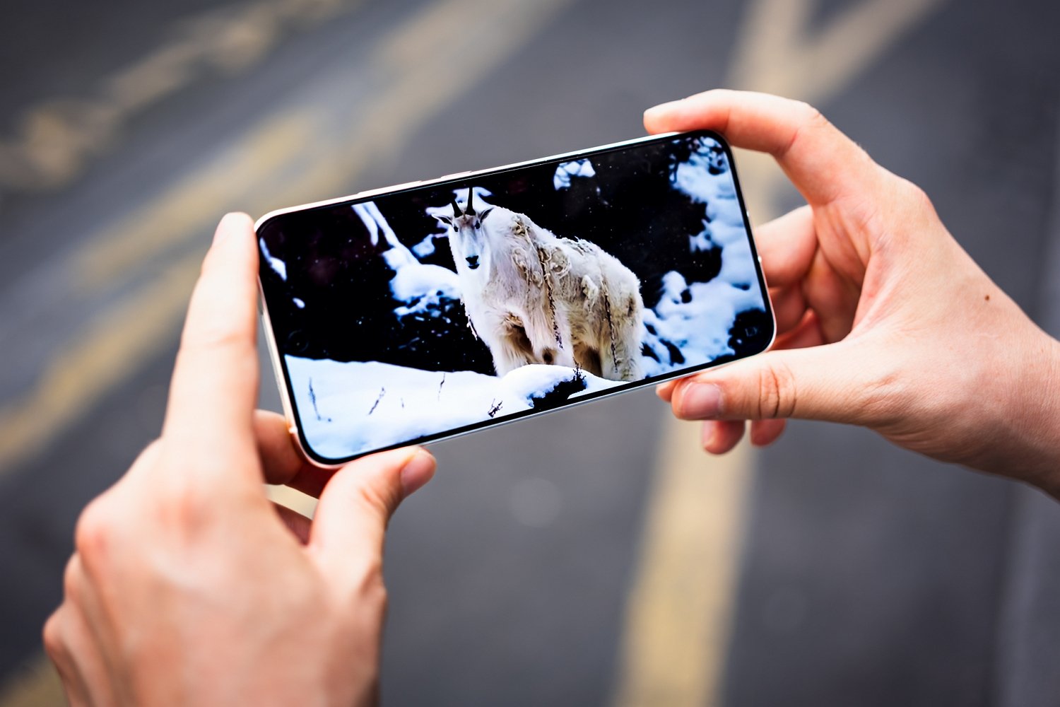 Oppo Reno 14 5g (8)