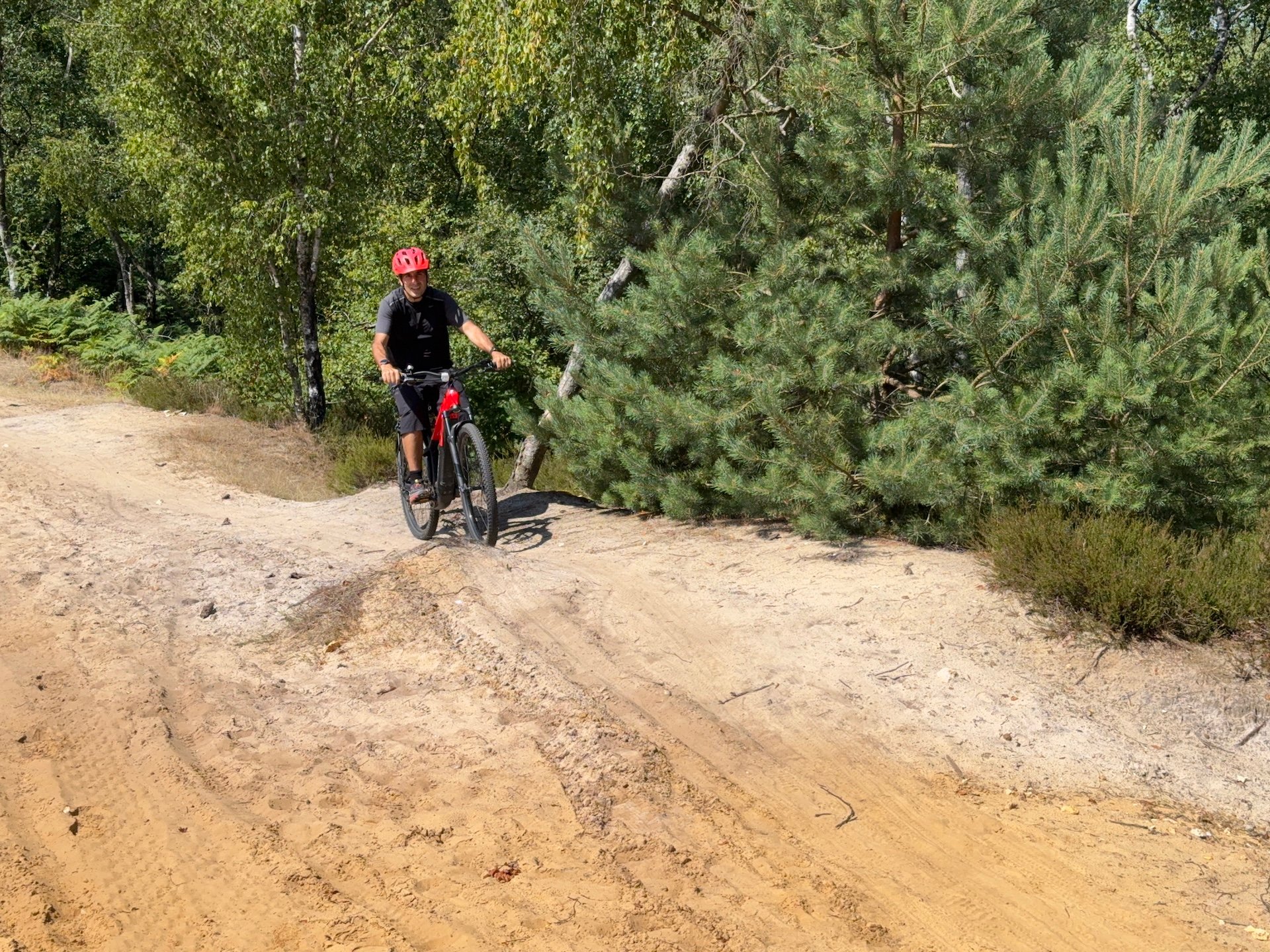 Test Trek Powerfly+ 4 17